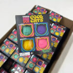 NeeDoh Teenie Cool Cats Soft And Cute Mini Fidget Toy Set view 3